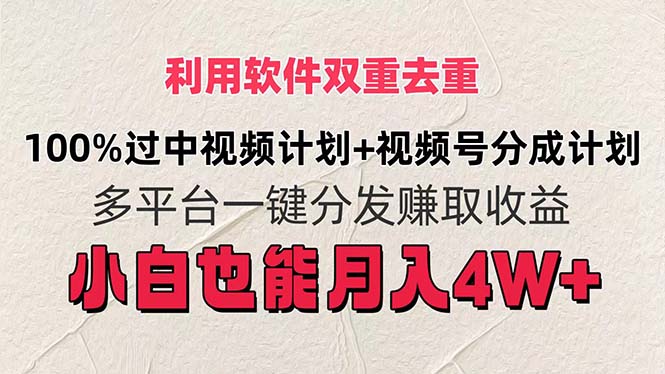 （11862期）利用软件双重去重，100%过中视频+视频号分成计划小白也可以月入4W+-叮当猫聊项目
