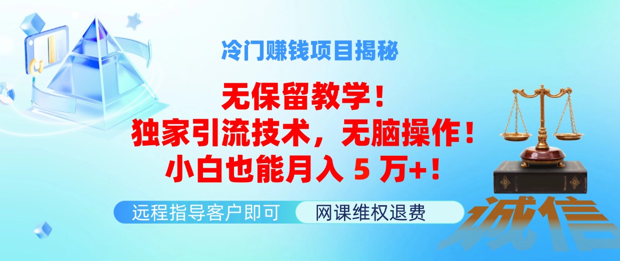 （11864期）冷门赚钱项目无保留教学！独家引流技术，无脑操作！小白也能月入5万+！-叮当猫聊项目