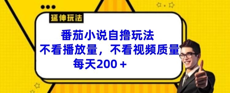 番茄小说自撸玩法，不看播放量，不看视频质量，每天200+【揭秘】-叮当猫聊项目