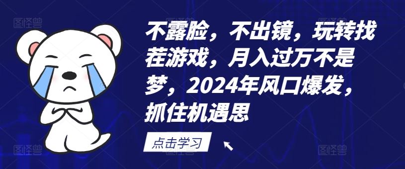 不露脸，不出镜，玩转找茬游戏，月入过万不是梦，2024年风口爆发，抓住机遇【揭秘】-叮当猫聊项目