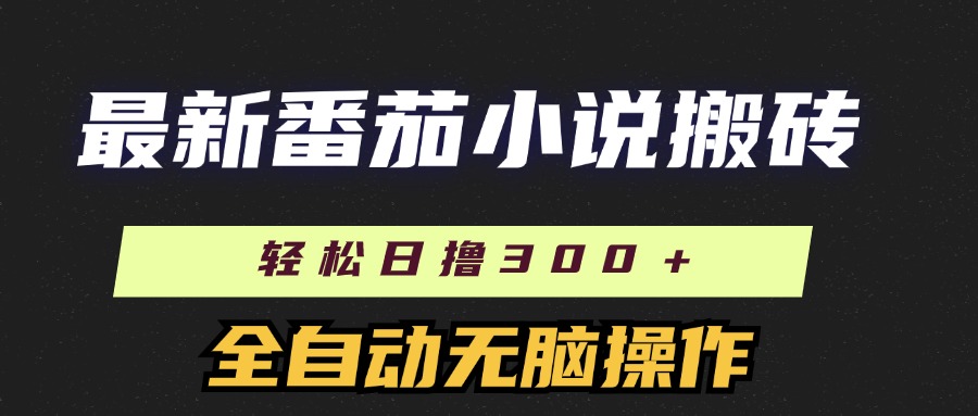 （11904期）最新番茄小说搬砖，日撸300＋！全自动操作，可矩阵放大-叮当猫聊项目