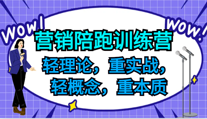 营销陪跑训练营，轻理论，重实战，轻概念，重本质，适合中小企业和初创企业的老板-叮当猫聊项目
