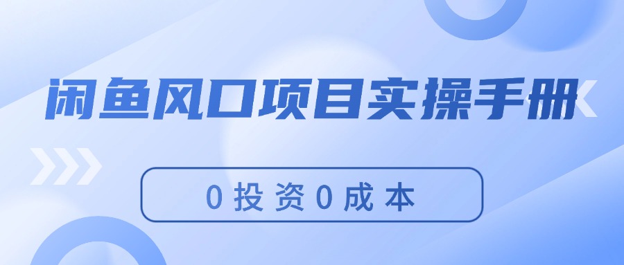 （11923期）闲鱼风口项目实操手册，0投资0成本，让你做到，月入过万，新手可做-叮当猫聊项目