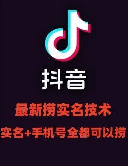 最新技术抖音捞实名+捞手机号技术，抖音直播封禁释放十名/手机号，直接替换出来!-叮当猫聊项目