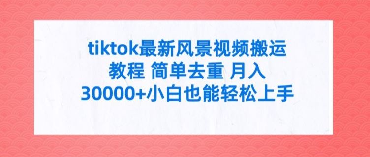 tiktok最新风景视频搬运教程 简单去重 月入3W+小白也能轻松上手【揭秘】-叮当猫聊项目