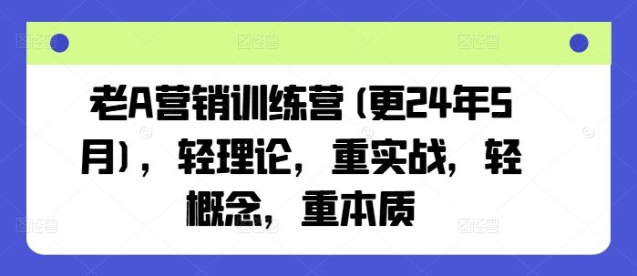 老A营销训练营(更24年7月)，轻理论，重实战，轻概念，重本质-叮当猫聊项目