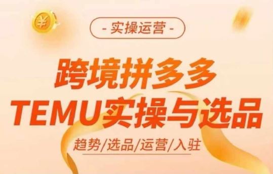 跨境拼多多TEMU实操与选品，多多temu跨境选品运营实操-叮当猫聊项目