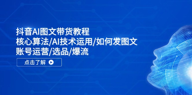 抖音AI图文带货教程：核心算法/AI技术运用/如何发图文/账号运营/选品/爆流-叮当猫聊项目