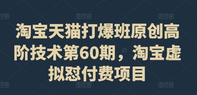 淘宝天猫打爆班原创高阶技术第60期，淘宝虚拟怼付费项目-叮当猫聊项目