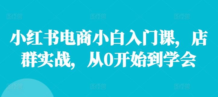 小红书电商小白入门课，店群实战，从0开始到学会-叮当猫聊项目