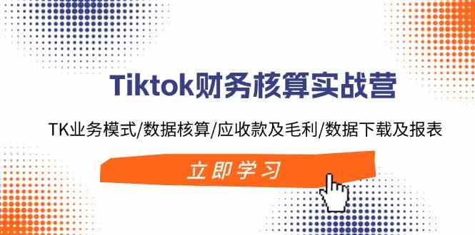 Tiktok财务核算实战营：TK业务模式/数据核算/应收款及毛利/数据下载及报表-叮当猫聊项目