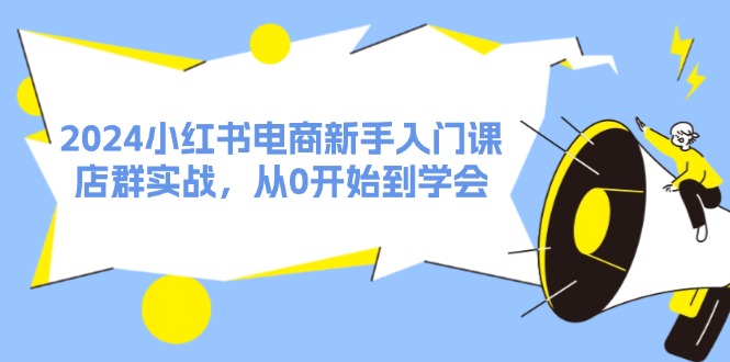 2024小红书电商新手入门课，店群实战，从0开始到学会（31节）-叮当猫聊项目