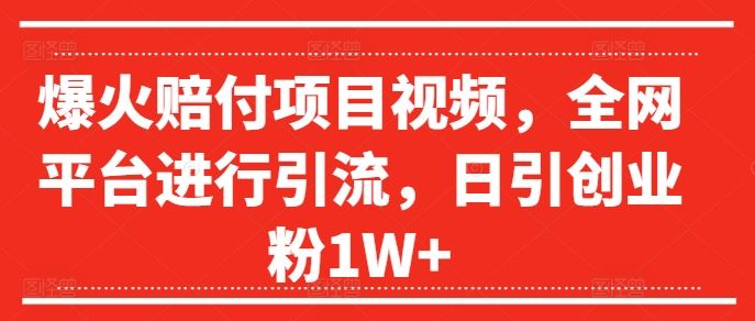爆火赔付项目视频，全网平台进行引流，日引创业粉1W+【揭秘】-叮当猫聊项目