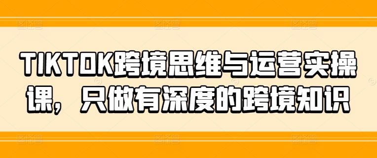 TIKTOK跨境思维与运营实操课，只做有深度的跨境知识-叮当猫聊项目