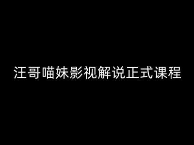 汪哥影视解说正式课程：剪映/PR教学/视解说剪辑5大黄金法则/全流程剪辑7把利器等等-叮当猫聊项目