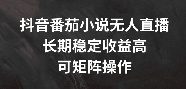 抖音番茄小说无人直播，长期稳定收益高，可矩阵操作【揭秘】-叮当猫聊项目