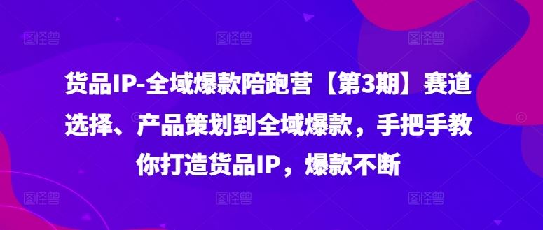 货品IP全域爆款陪跑营【第3期】赛道选择、产品策划到全域爆款，手把手教你打造货品IP，爆款不断-叮当猫聊项目