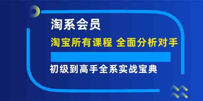 淘系会员初级到高手全系实战宝典【淘宝所有课程，全面分析对手】-叮当猫聊项目