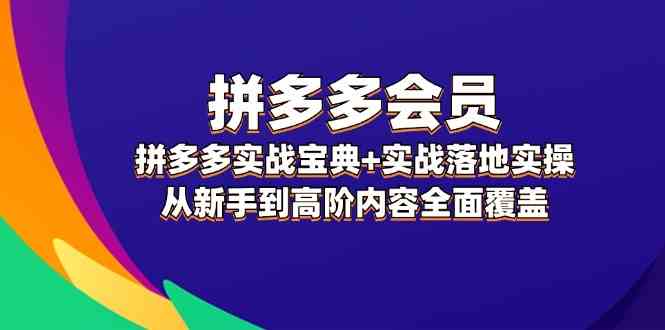 拼多多会员实战宝典+实战落地实操，从新手到高阶内容全面覆盖-叮当猫聊项目