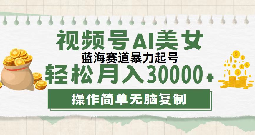 （12087期）视频号AI美女跳舞，轻松月入30000+，蓝海赛道，流量池巨大，起号猛，无…-叮当猫聊项目