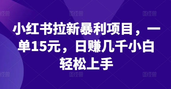 小红书拉新暴利项目，一单15元，日赚几千小白轻松上手-叮当猫聊项目