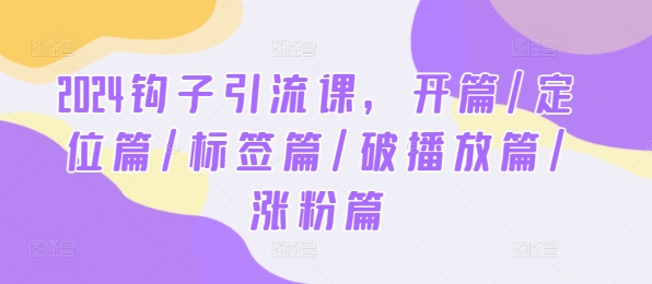2024钩子引流课，开篇/定位篇/标签篇/破播放篇/涨粉篇-叮当猫聊项目