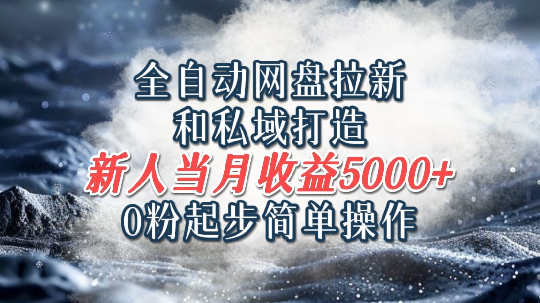 全自动网盘拉新和私域打造，0粉起步简单操作，新人入门当月收益5000以上-叮当猫聊项目