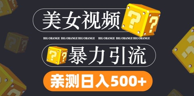 搬运tk美女视频全网分发，日引s粉300+，轻松变现，不限流量不封号-叮当猫聊项目