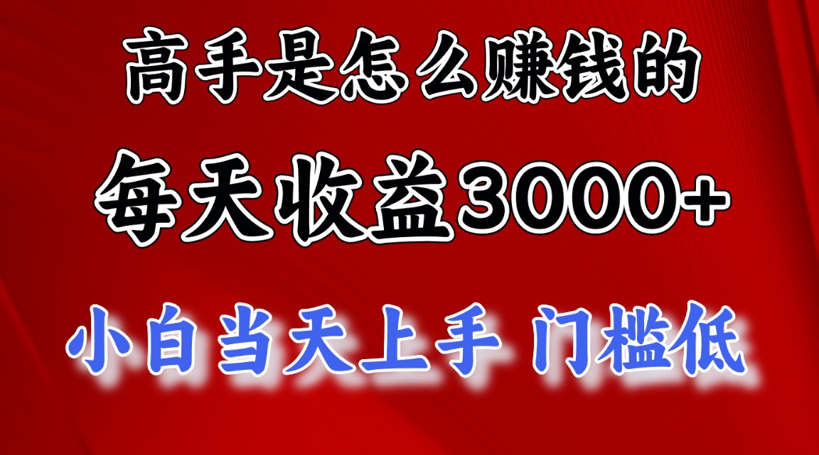 （12144期）1天收益3000+，月收益10万以上，24年8月份爆火项目-叮当猫聊项目