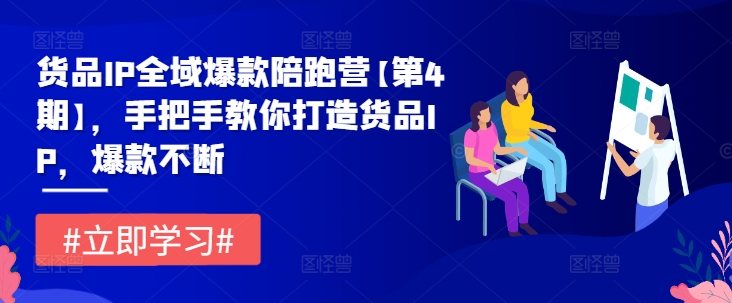 货品IP全域爆款陪跑营【第4期】，手把手教你打造货品IP，爆款不断-叮当猫聊项目