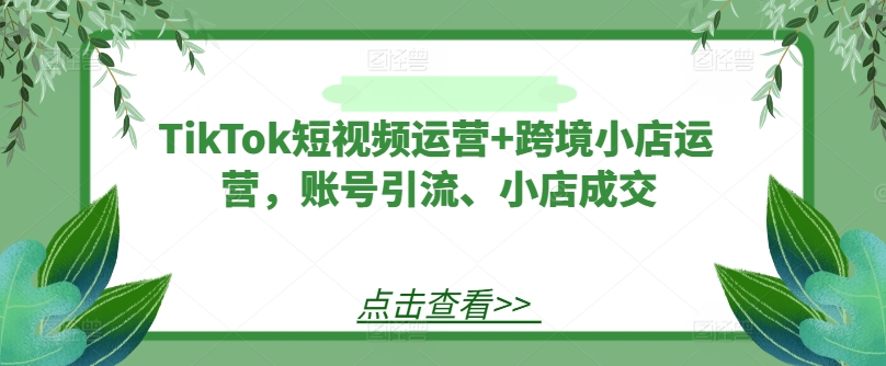TikTok短视频运营+跨境小店运营，账号引流、小店成交-叮当猫聊项目