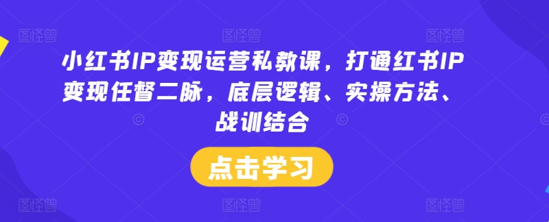 小红书IP变现运营私教课，打通红书IP变现任督二脉，底层逻辑、实操方法、战训结合-叮当猫聊项目