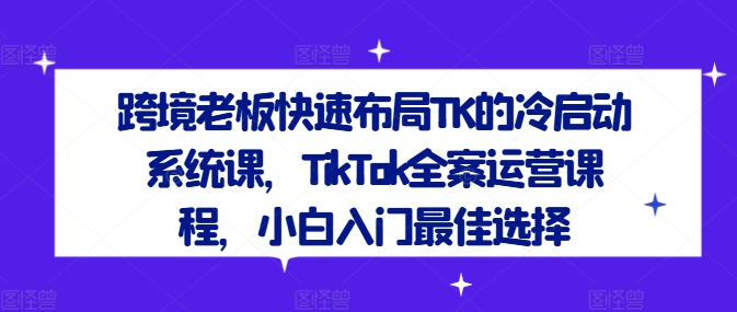 跨境老板快速布局TK的冷启动系统课，TikTok全案运营课程，小白入门最佳选择-叮当猫聊项目