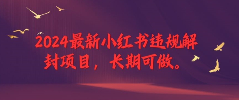 2024最新小红书违规解封项目，长期可做，一个可以做到退休的项目-叮当猫聊项目