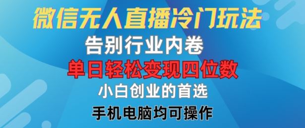微信无人直播冷门玩法，告别行业内卷，单日轻松变现四位数，小白的创业首选【揭秘】-叮当猫聊项目