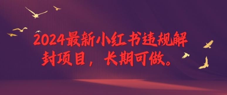 2024最新小红书违规解封项目，长期可做，一个可以做到退休的项目【揭秘】-叮当猫聊项目