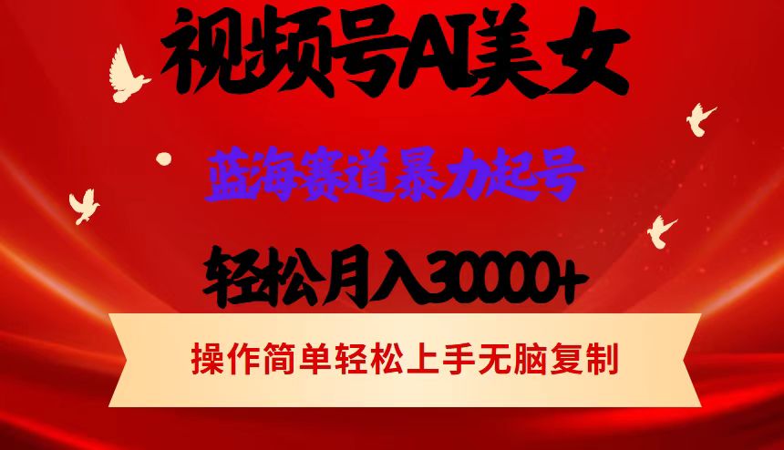 （12178期）视频号AI美女跳舞，轻松月入30000+，蓝海赛道，流量池巨大，起号猛，当…-叮当猫聊项目