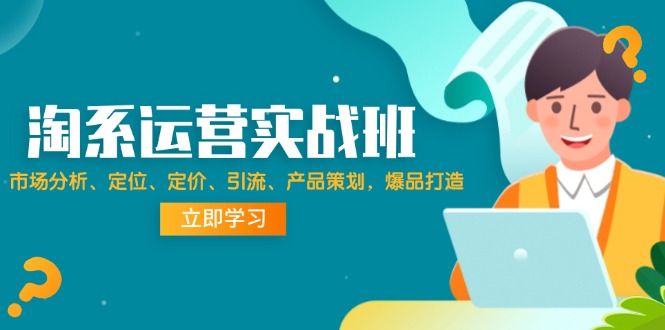 （12186期）淘系运营实战班：市场分析、定位、定价、引流、产品策划，爆品打造-叮当猫聊项目