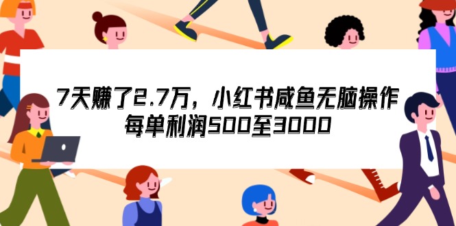 （12192期）7天收了2.7万，小红书咸鱼无脑操作，每单利润500至3000-叮当猫聊项目