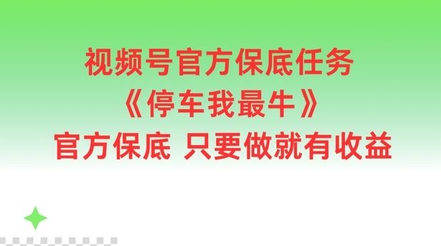 视频号官方保底任务，停车我最牛，官方保底只要做就有收益【揭秘】-叮当猫聊项目