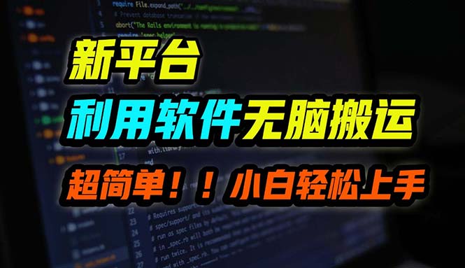 （12203期）B站平台用软件无脑搬运，月赚10000+，小白也能轻松上手-叮当猫聊项目