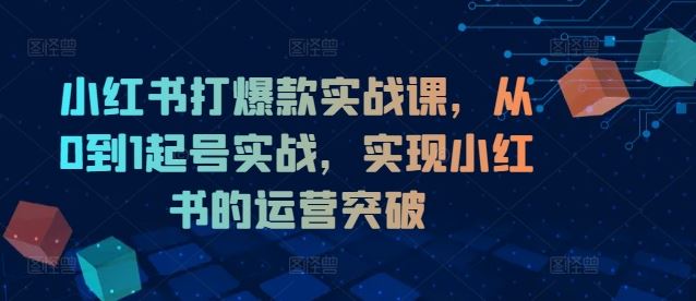 小红书打爆款实战课，从0到1起号实战，实现小红书的运营突破-叮当猫聊项目
