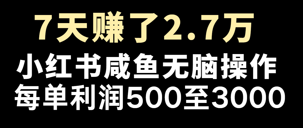 七天赚了2.7万！每单利润最少500+，轻松月入5万+小白有手就行-叮当猫聊项目