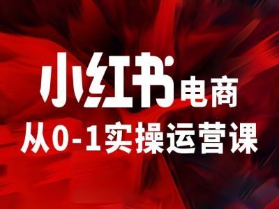 小红书电商从0-1实操运营课，让你从小白到精英-叮当猫聊项目