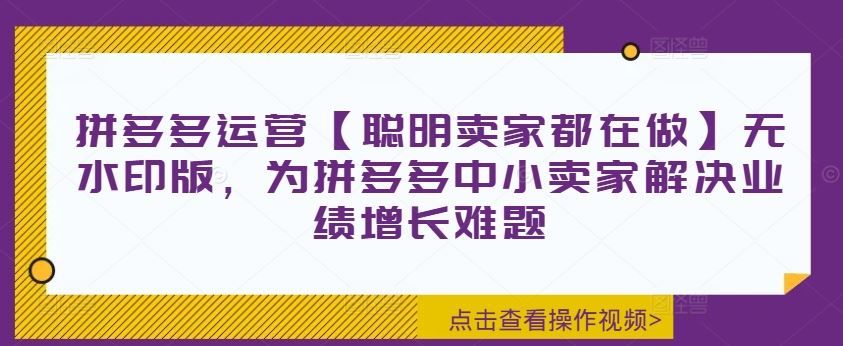 拼多多运营【聪明卖家都在做】无水印版，为拼多多中小卖家解决业绩增长难题-叮当猫聊项目