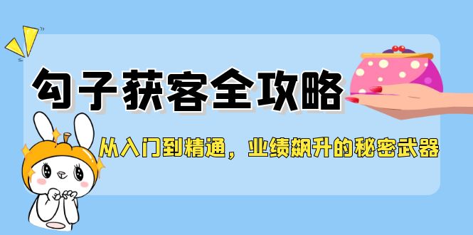 从入门到精通，勾子获客全攻略，业绩飙升的秘密武器-叮当猫聊项目