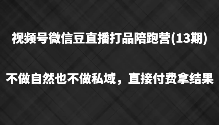 视频号微信豆直播打品陪跑(13期)，不做不自然流不做私域，直接付费拿结果-叮当猫聊项目