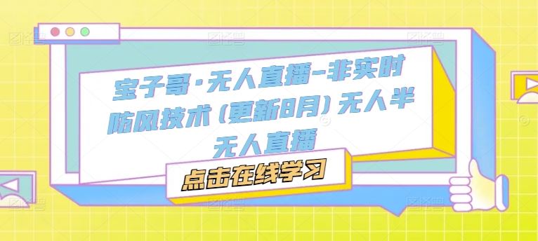 宝子哥·无人直播-非实时防风技术(更新8月)无人半无人直播-叮当猫聊项目