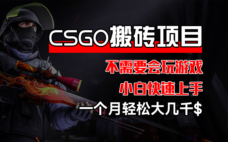 （12332期）CSGO 装备搬砖项目，操作简单，不需要会玩游戏，小白也能快速上手，一…-叮当猫聊项目