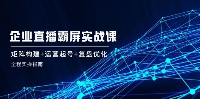 企业直播霸屏实战课：矩阵构建+运营起号+复盘优化，全程实操指南-叮当猫聊项目